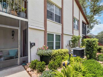 3455 COUNTRYSIDE BOULEVARD #45, Clearwater, FL, 33761, 