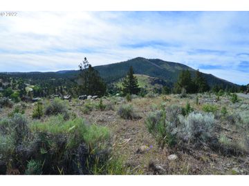 216 ELKVIEW, Canyon City, OR, 97820, 