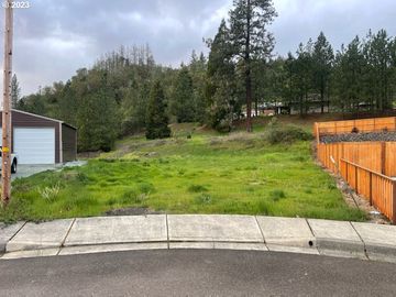 147 DEER SONG, Canyonville, OR, 97417, 
