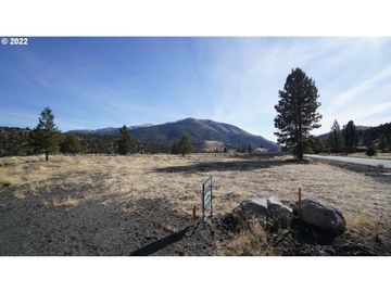 217 Elkview, Canyon City, OR, 97820, 
