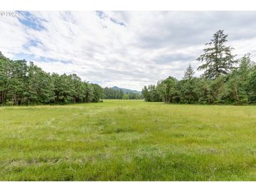 None Marcola RD #Lt600, Marcola, OR, 97454, 