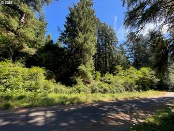  Woods on Woahink #Lot 8, Florence, OR, 97439, 