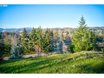 133 WINCHESTER CREEK, Winchester, OR, 97495, 