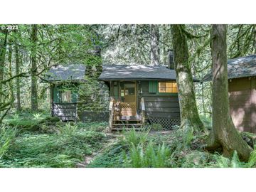 27525 E ROAD 20 #Lot 4, Rhododendron, OR, 97049, 