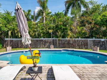 Swimming Pool, 941 NW 26 Court, Wilton Manors, FL, 33311, 